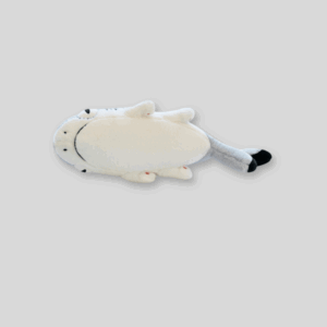 Sharkitty Plush